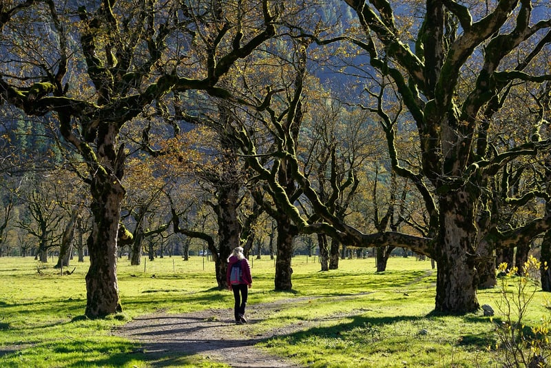 Woman walking in nature